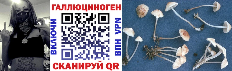 Галлюциногенные грибы GOLDEN TEACHER Гусь-Хрустальный