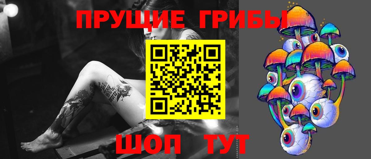 закладки  Псилоцибиновые грибы MAGIC MUSHROOMS  Вход с VPN  Гусь-Хрустальный 