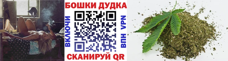 Бошки Шишки конопля  где найти   Гусь-Хрустальный 